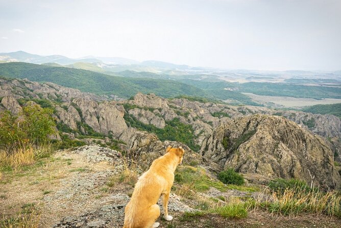 1 day hiking in Birtvisi Canyon from Tbilisi - Price and value: what you get for $80 per person