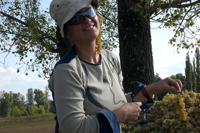 2-Day Private Wine Tour to Kakheti from Tbilisi - Price and logistics: what you really get for $470