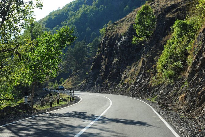 3-Day Private Mestia and Ushguli Tour from Tbilisi - Who this tour is best for