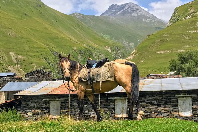 3 Day Tusheti Tour Explore Unspoiled Wilderness - Day 2: Dartlo, Diklo, and Shenako’s stone tower world