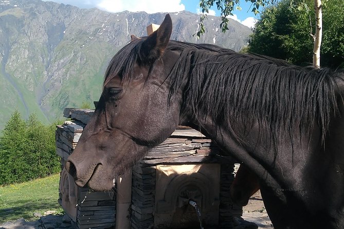 3 Days in Georgia: Private Tour with Wine, Mountains & Culture - Comfort, Timing, and What You’ll Be Walking Through