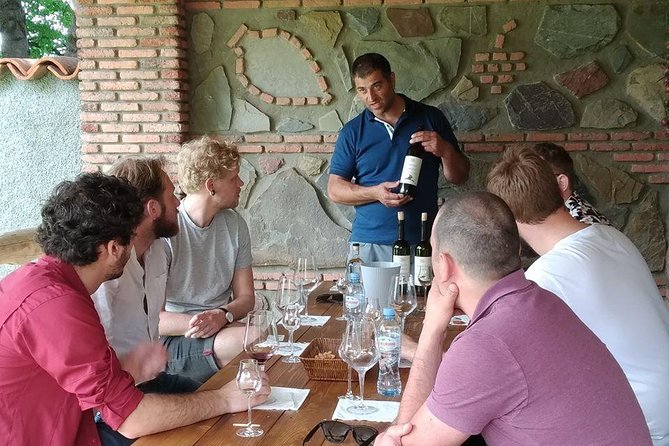 3 Organic Wineries Private Day Trip to Wine Province With Lunch and Tastings - Hotel Pickup and the Private-Day Feel from Tbilisi