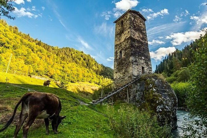 4-Day Tour in Svaneti - Mestia/Ushguli - Day 2 continued: Svan Towers and the most iconic Mestia scene