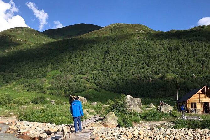 8-Day Jeep Tour Caucasus Raid from Tbilisi - Day 8 Back to Tbilisi: Wine Gallery Tasting and Airport Transfer
