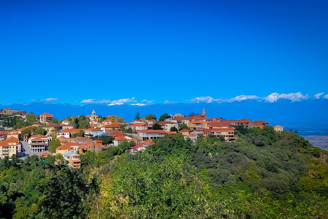 A day tour to Kakheti region/wine/culture/history and gastro tour - Bodbe Monastery: UNESCO calm after the oven heat