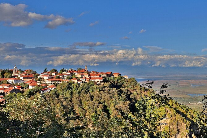 Adventure in Kakheti - Bodbe, Sighnaghi, wine tasting (Private Experience) - Wine tasting tips for a smarter, calmer day