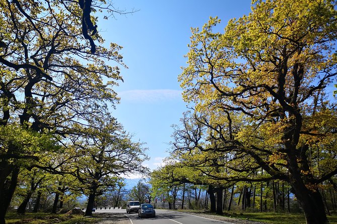 Amazing All inclusive Tour for 7 Days From Tbilisi - Day 3 Toward Svaneti: Tetnuldi Area and Martvili Canyon