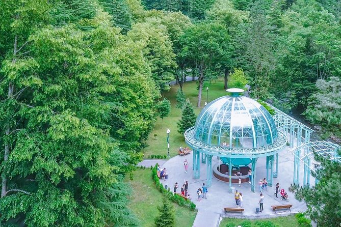 Bakuriani-Borjomi full day trip - Who is guiding you, and why it matters more than you think