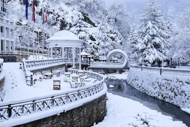 Bakuriani-Borjomi full day trip - Practical expectations: what to plan for on the ground