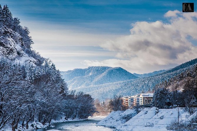 Bakuriani-Borjomi full day trip - The 9:00 start and the ride: comfort, timing, and how you’ll use it