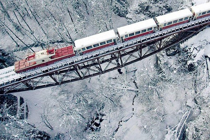 Bakuriani ski resort and the legendary Borjomi (Group Tour) - From Tbilisi at 9:00 to an 11-hour winter day