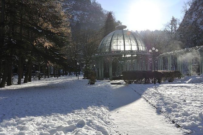 Bakuriani ski resort and the legendary Borjomi (Group Tour) - Who this Bakuriani and Borjomi combo suits best