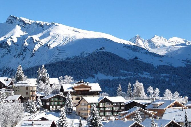 Bakuriani ski resort and the legendary Borjomi (Group Tour) - Kukushka to Bakuriani: pine trees, cold air, and instant winter vibes
