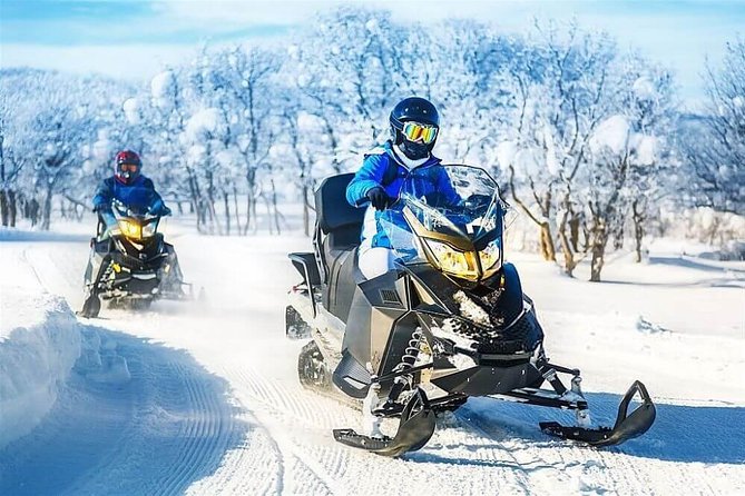Bakuriani Ski Resort Private Day Tour from Tbilisi Snow Adventure - Getting there from Tbilisi: comfort, timing, and driver-guides