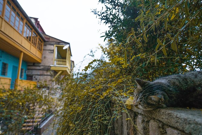 Classic Tbilisi Walking Tour - Starting at Freedom Square: an efficient morning launch