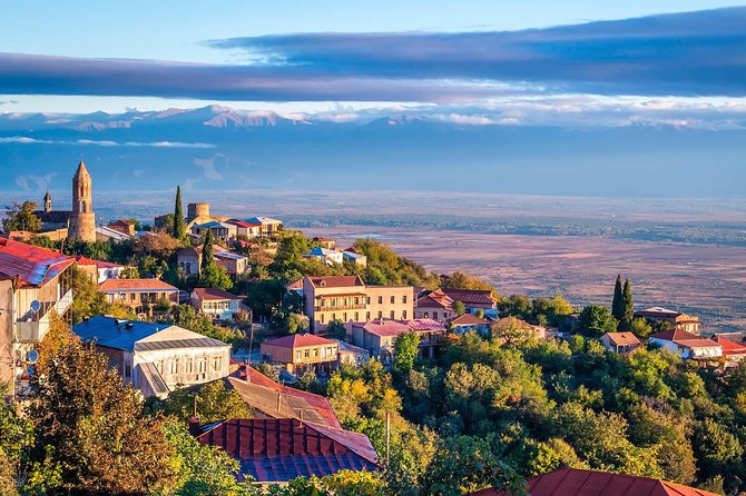 David Gareja, Kakheti and Signagi city of love One Day Tour - What the tour includes (and where you may spend extra)