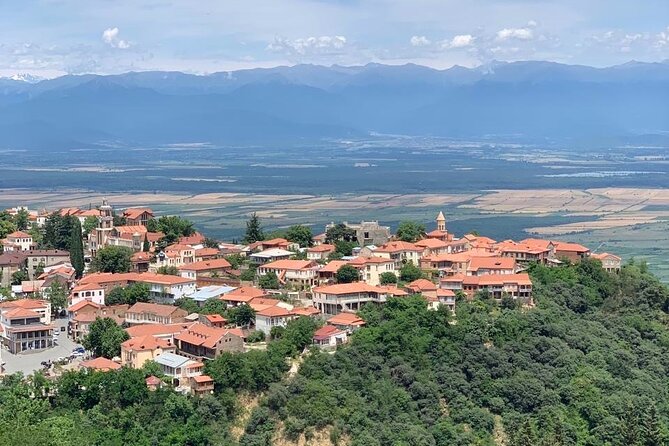 Day tour to Kakheti wine region Georgia - Bodbe Monastery of St. Nino: Views You’ll Remember