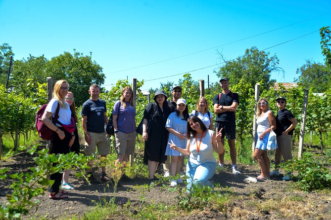 Day Trip to Kakheti Wine Region Including 9 Wine Tastings - KTW Winery and Chacha: The Big-Producer Contrast