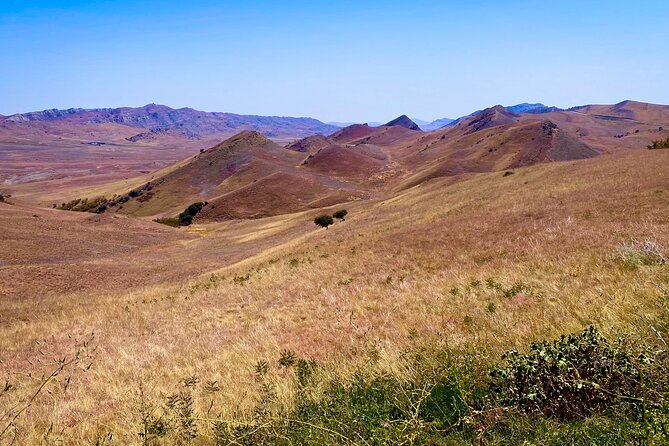 Day Trip to Rainbow Mountains and David Gareja - David Gareja Lavra: Spiritual History Meets Border Reality