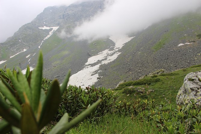 Five days tour to Khevsureti (Abudelauri lakes) & Kazbegi with hikes. - Day 4: Juta gorge hike (moderate effort) plus Fifth Season cafe coffee or tea