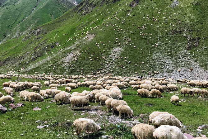 From Tbilisi: Kazbegi Ananuri Gudauri and Trusso Valley by 4x4 - The Aragvi River color trick: a quick stop with a real payoff