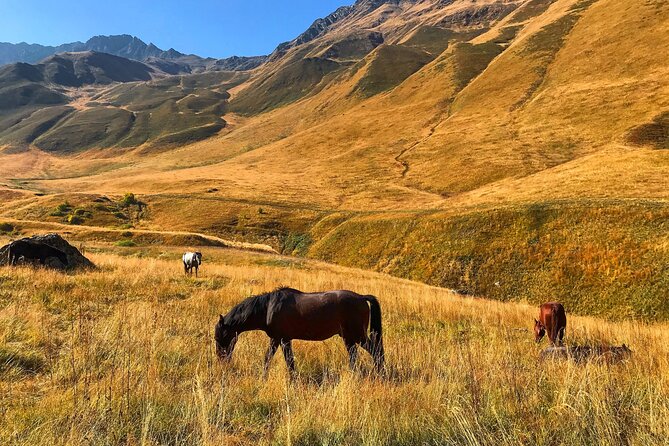 From Tbilisi: Kazbegi Ananuri Gudauri and Trusso Valley by 4x4 - Europe Square meeting point to Zhinvali Reservoir: get your first big view early