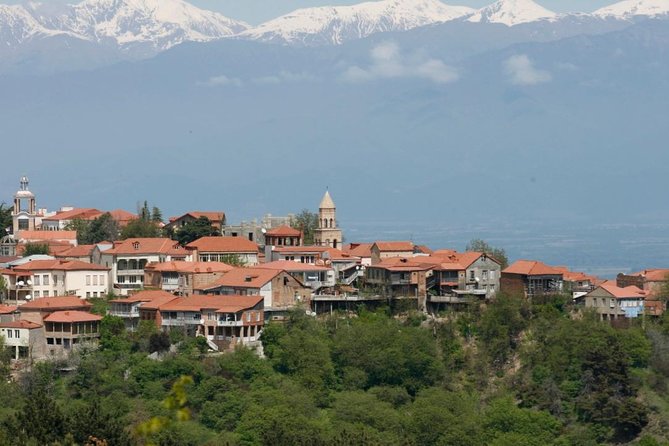 Full Day Private Wine Tour in Kakheti Region with Lunch and 3 Wine Tastings - Key things to know before you go