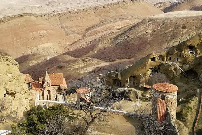 Full day tour to Kakheti: David Gareja and Signagi Town - The 10-Hour Schedule: Timing That Keeps the Day From Dragging