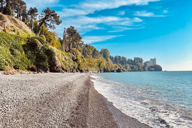 Georgia in 7 Days: A Haven for Nature and Sea Lovers - The Real Value: Private Transfers and a Car You Don’t Have to Think About