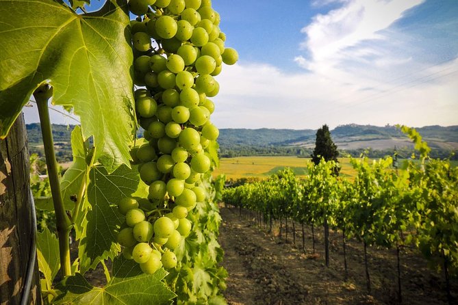 Grand tour to Kakheti for wine lovers: Telavi-Kvareli-Sighnaghi - Khareba’s Tunnel Winery: Georgian Wine Tasting With a Twist