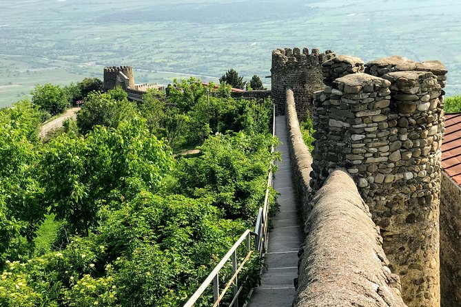 Kakheti and Sighnaghi tour with winetasting - Badiauri shoti bread and homemade cheese: the warm-up you’ll remember