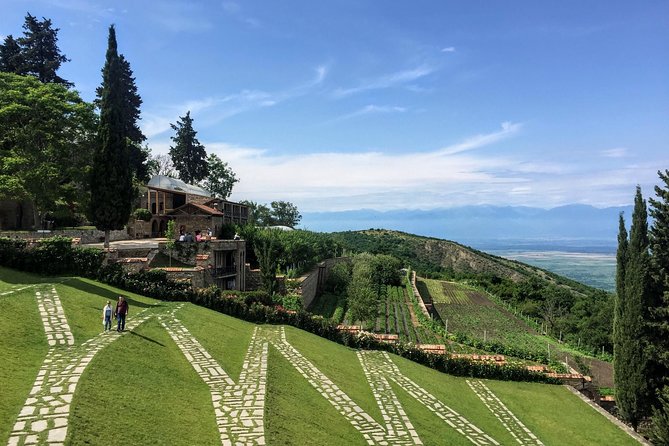 Kakheti and Sighnaghi tour with winetasting - KTW wine factory tasting: what’s included, what’s extra