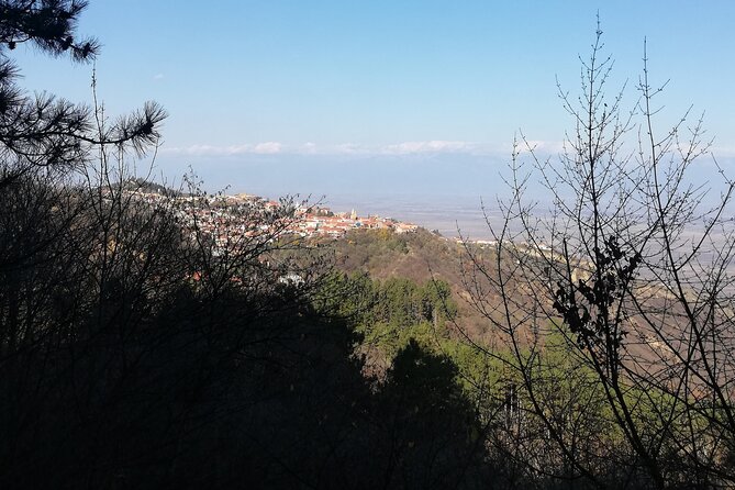 Kakheti Full Day Private Tour - Price and Value: Is $69 a Good Deal?