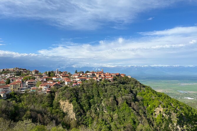 Kakheti-Sighnaghi Day Trip with wine tasting and Bodbe Monastery - 5 Key Highlights That Make This Day Trip Work