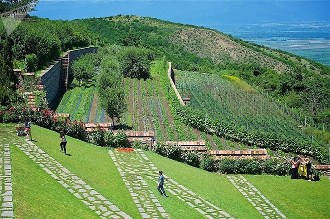Kakheti: Signagi, Bodbe Monastery, Telavi, Wine Tour. Private tour - Price and Value: What $111 Buys You in a Full Kakheti Day
