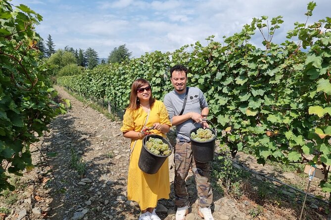 Kakheti - Small wineries and family-cooked lunch • Private tour - Kardenakhi Family Lunch: Where the Meal Makes the Day