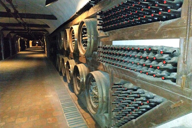 Kakheti Wine Tour with 20+ Wine Tastings & Qvevri Masterclass - Kindzmarauli Corporation Wine House: Learning the Production Stages (Then Tasting Export Styles)