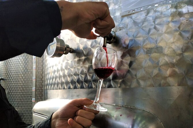 Kakheti Wine Tour with 20+ Wine Tastings & Qvevri Masterclass - Khareba’s Wine Tunnel (7 km): Why Aged Wine Tastes Different Underground