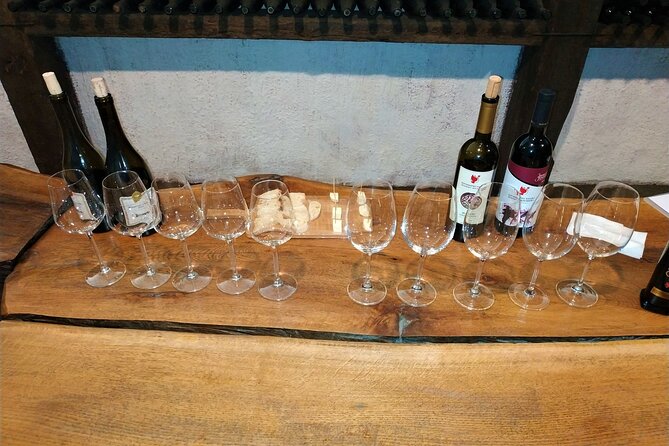 Kakheti Wine Tour with 20+ Wine Tastings & Qvevri Masterclass - KTW Tasting Stop: From Stainless Tanks to Oak Barrels