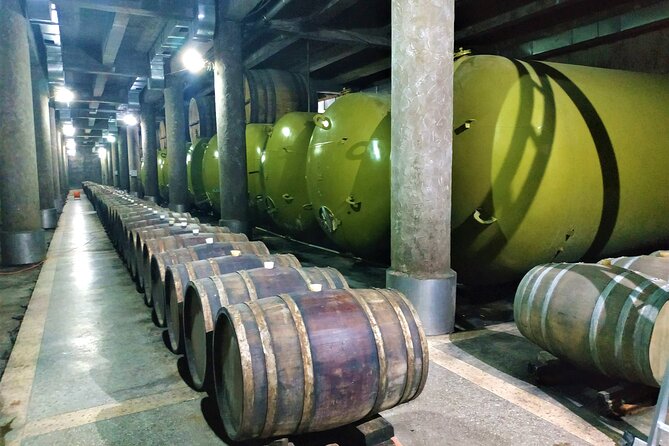 Kakheti Wine Tour with 20+ Wine Tastings & Qvevri Masterclass - Who This Kakheti Tour Fits Best (and Who Should Consider Alternatives)
