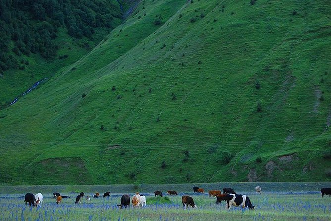 Kazbegi Adventure - Private Day Trip From Tbilisi with a Dinner + Masterclass - Why Kazbegi feels like Georgia’s highlight