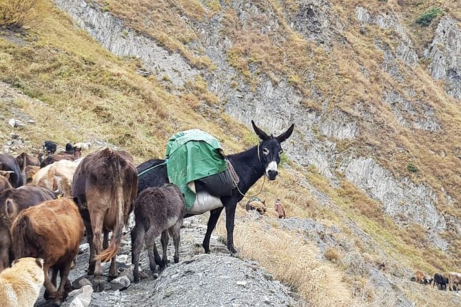 Kazbegi MOUNTAIN Tour (GLORY OF THE NATURE) + MANY NEW LOCATIONS - Kobi sulfur waters: color on the ground, and great photo chemistry
