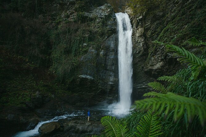 Lagodekhi - A day hiking from Tbilisi - Gurgeniani Visitor Center: where your hike really starts