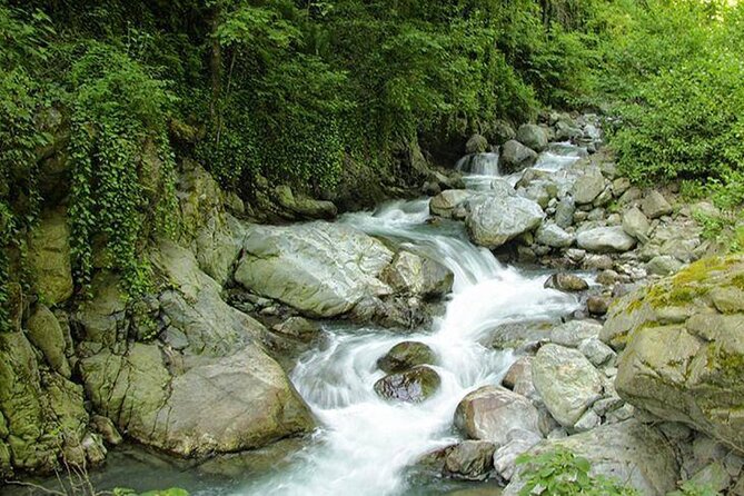 Lagodekhi - A day hiking from Tbilisi - The river-walk part: forest shade, boulders, and small falls