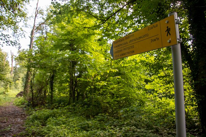 Lagodekhi - A day hiking from Tbilisi - Price and value: is $95 fair for this?
