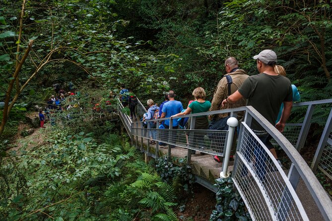 Martvili canyon & Prometheus Cave group tour from Tbilisi - Should You Book This Martvili Canyon and Prometheus Cave Tour?