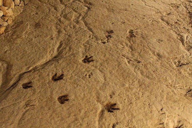 Martvili + Okatse + Caves - Okatse Canyon: stairs, footpaths, and a big weather dependency