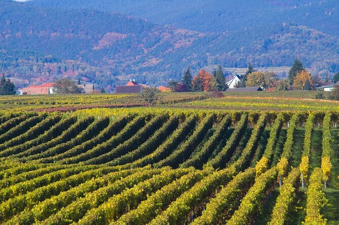 Mtskheta and Jvari UNESCO Private Tour - Price and logistics: what you’re really paying for at $30.04