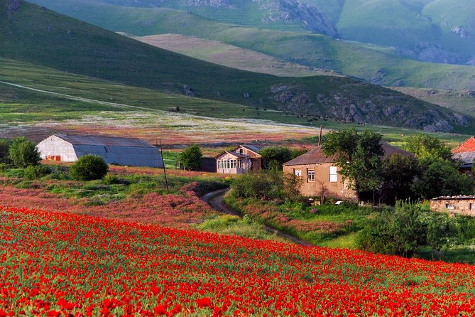 Mtskheta,Jvari,Gori,Uplistikhe(private tour) - What this tour feels like in real life