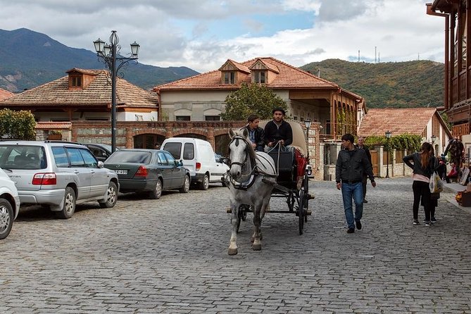 Mtskheta - Jvari Private Tour + Chronicles of Georgia - Private Vehicle Comfort: AC, Wi-Fi, and a Pace That Doesn’t Crush You